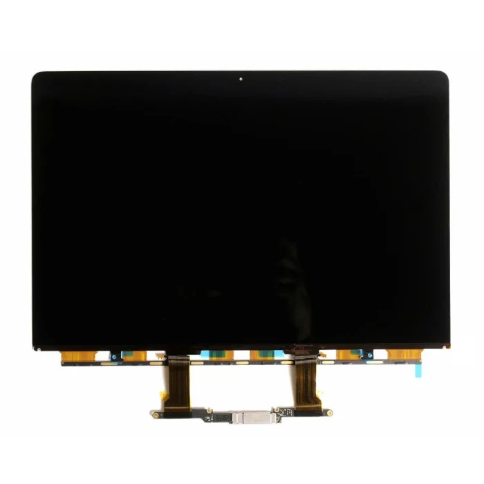 MacBook LCD only
